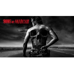 Disney Sons of Anarchy Seasons 1-7 DVD Anglais