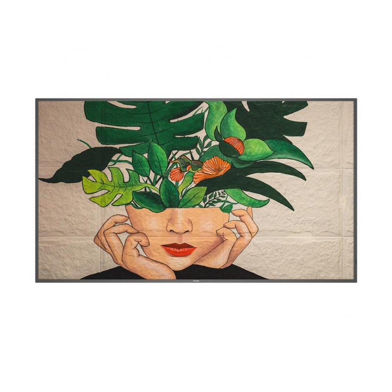 Dis Public 55 Philips compatible 55BDL4511D/00 D-Line