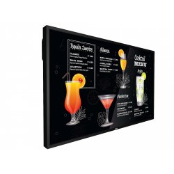 Dis Public 55 Philips compatible 55BDL3117P/00 P-Line