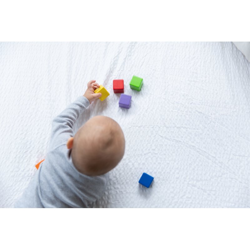 PlanToys Activity Blocks