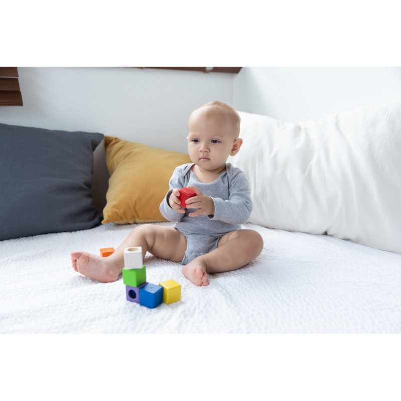 PlanToys Activity Blocks