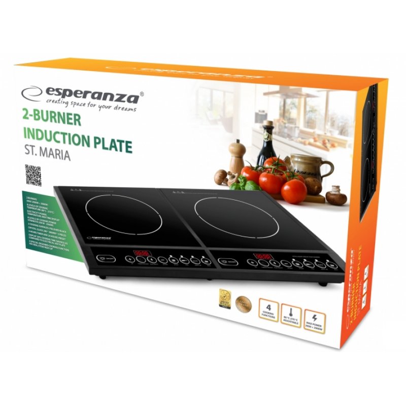 STOCK1 - Esperanza EKH008 plaque Noir Comptoir Plaque avec zone à induction 2 zone(s)