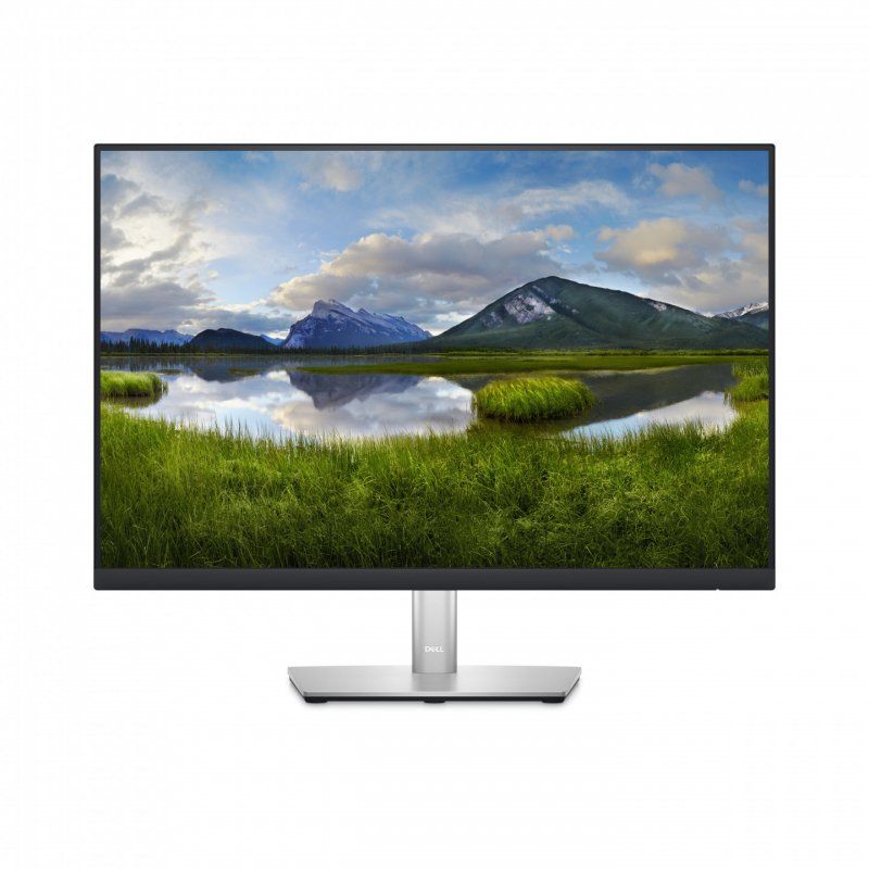 Dis 24 Dell P2423 Professional WUXGA IPS