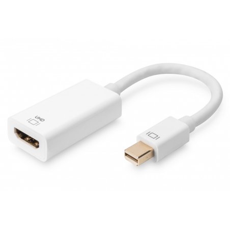 ASSMANN Videoadapter - DisplayPort / HDMI - 20 cm