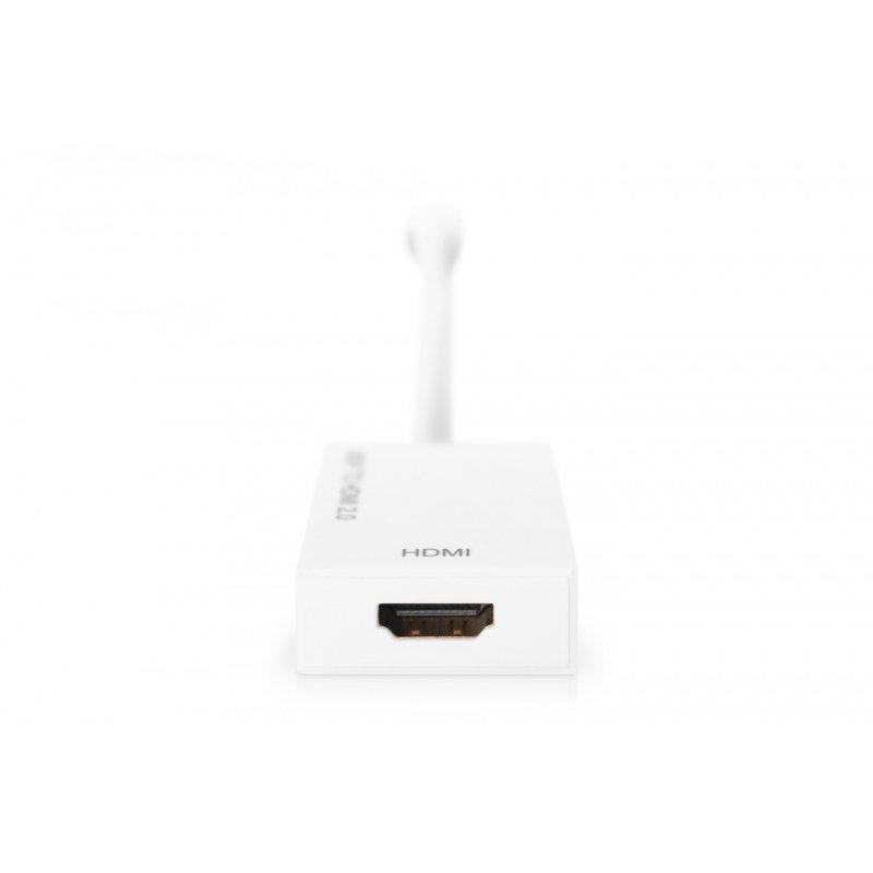 ASSMANN Videoadapter - DisplayPort / HDMI - 20 cm