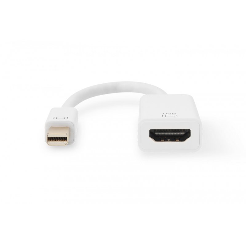 ASSMANN Videoadapter - DisplayPort / HDMI - 20 cm