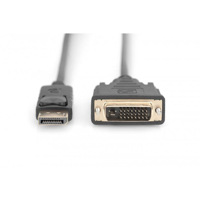 Digitus Câble adaptateur DisplayPort, DP sur DVI-D
