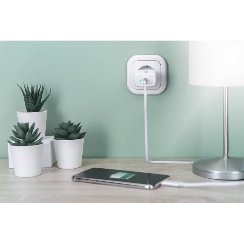 Digitus Netzteil - USB-C - 20 Watt