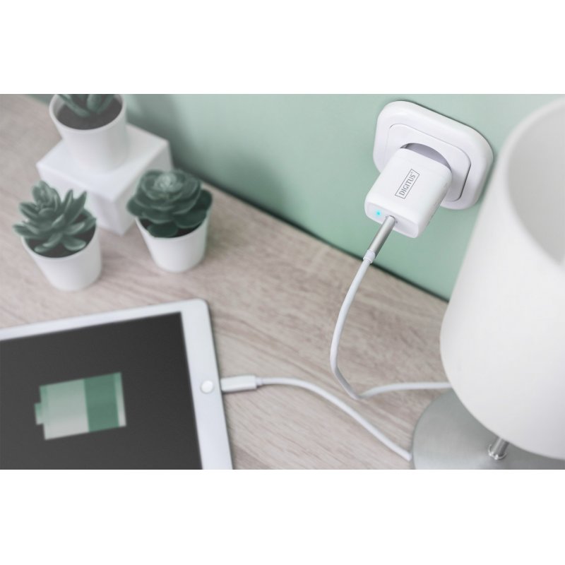 Digitus Universal Charging Adapter, USB-C™, 20 W