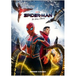 SF Studios Spider-Man: No Way Home DVD Anglais