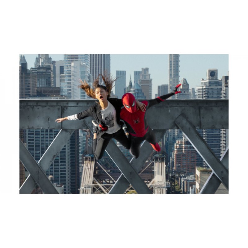 SF Studios Spider-Man: No Way Home DVD English