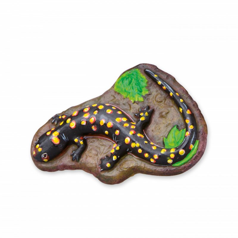 SES Creative Moulage et peinture - Animaux effrayants