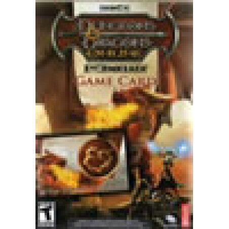 Dungeons & Dragons Online TIME CARD