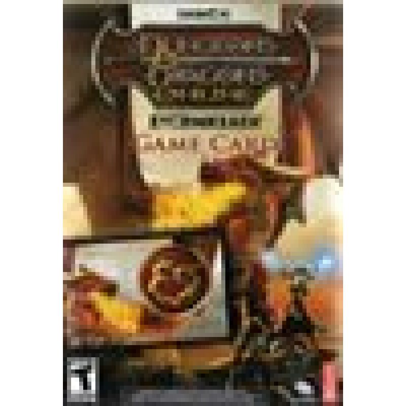 Dungeons & Dragons Online TIME CARD