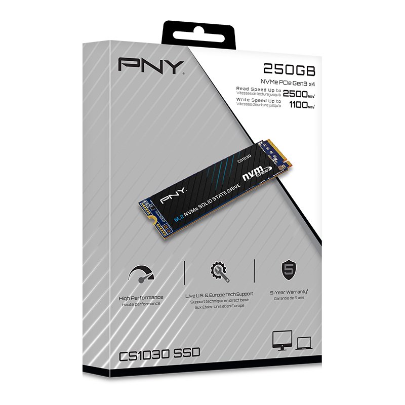 Disque SSD PNY CS1030 250Go - NVMe M.2 Type 2280