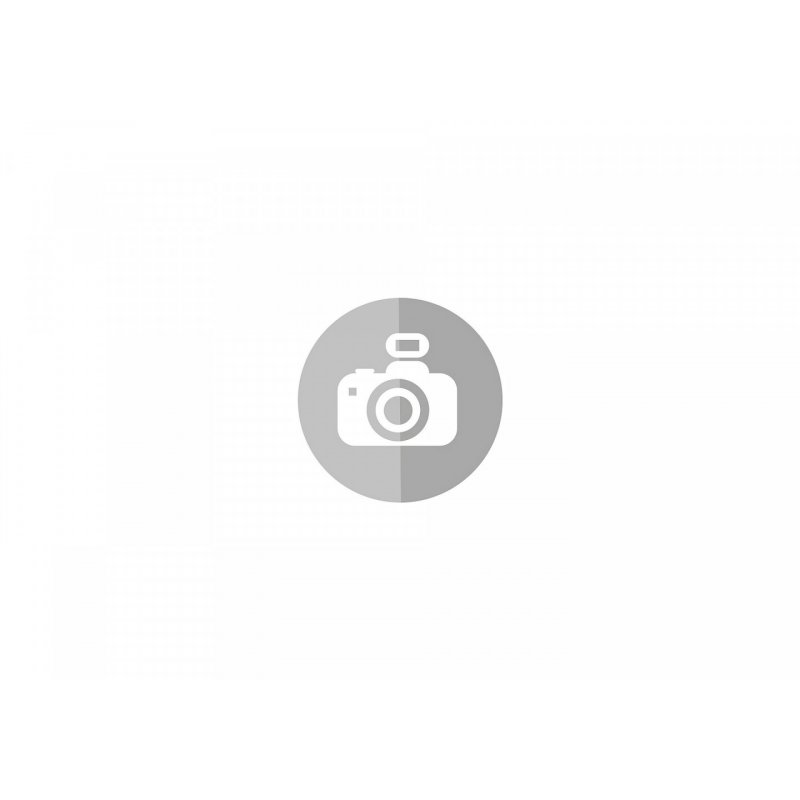 Playm. Dragons:The Nine Realms-Icaris Q. | 71085