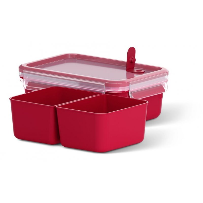 EMSA CLIP & MICRO Rectangulaire Boîte 1 L Rouge, Transparent 1 pièce(s)