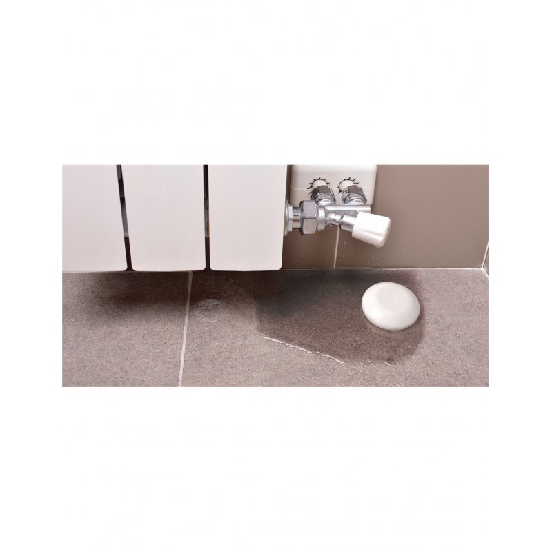 Shelly ATSHELLYFLOOD détecteur de fuite de liquide Batterie Plastique 1 pièce(s)