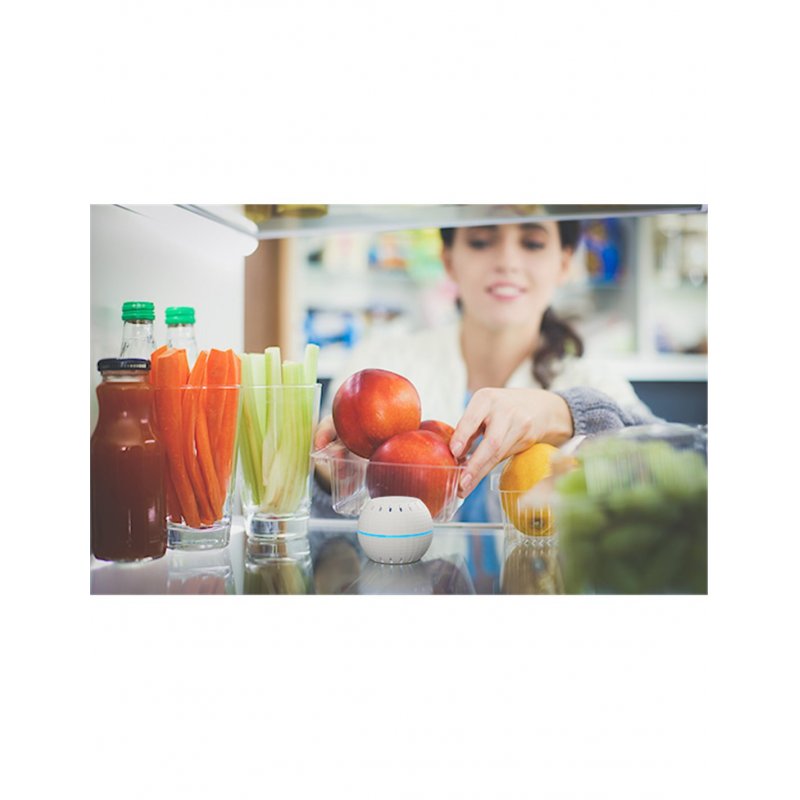 Shelly ATSHELLYHTWH capteur de température et d'humidité Intérieure Capteur d'humidité et de température Autonome S