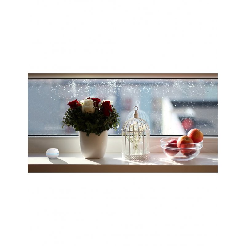 Shelly H&T WiFi sensor Humidity/Temperature