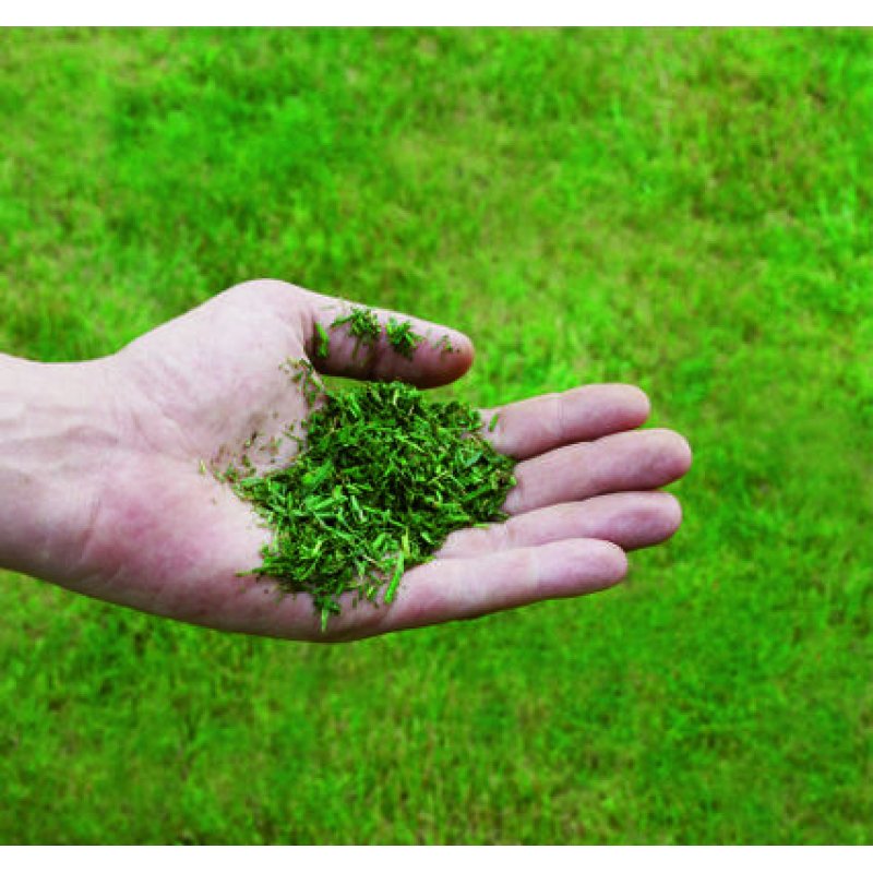 Einhell GC-PM 51/3 S HW-E tondeuse à gazon Marcher derrière un tracteur tondeuse Essence Noir, Rouge