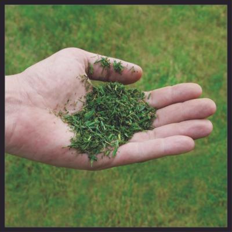 Einhell Akku-Rasenmäher GE-CM 36/48 Li M-| Solo lawn mower Push lawn mower Battery Black, Red