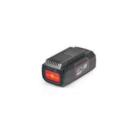 WOLF-Garten LYCOS 40/250 A Batterie