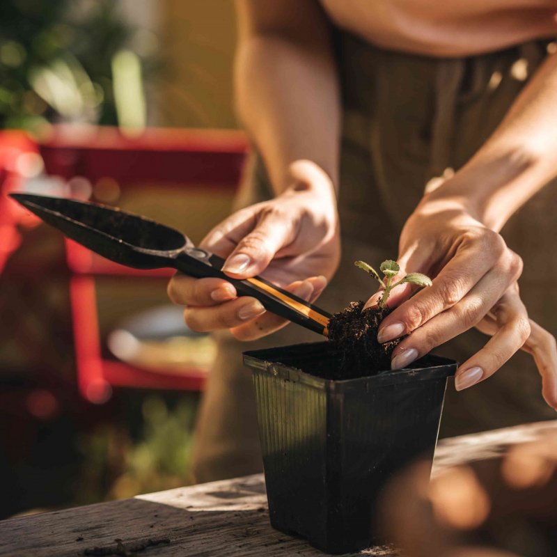 Fiskars Solid Saatgut-Pflanzenkelle | 1057641