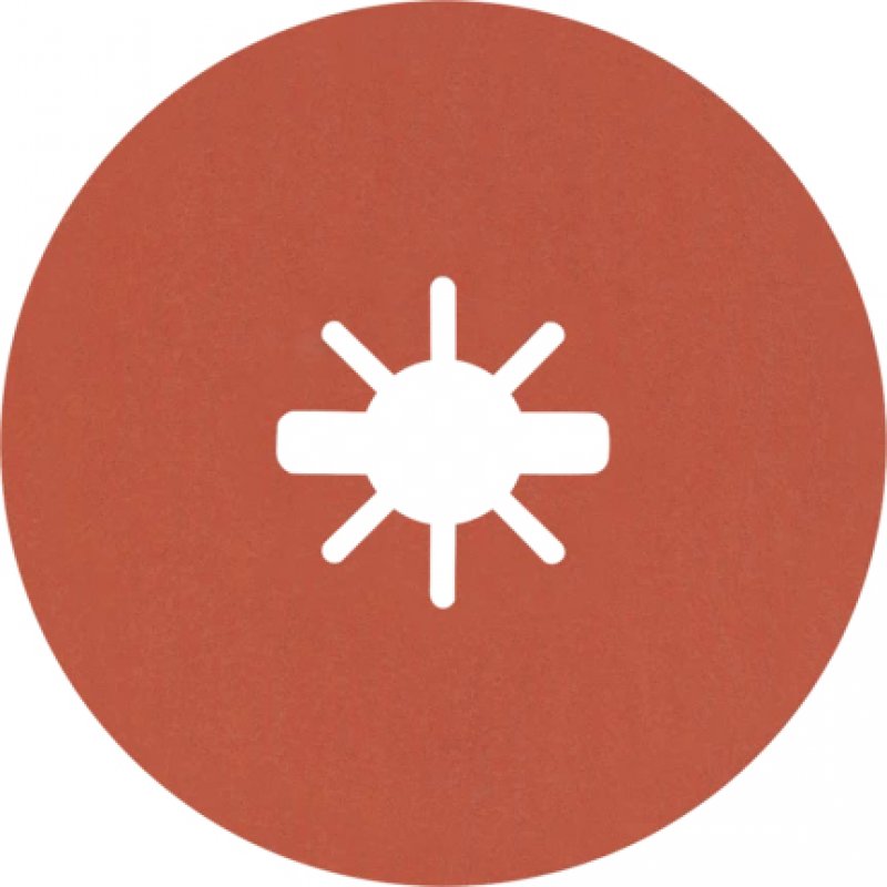 Bosch EXPERT R782 PRISMA Grinding disc