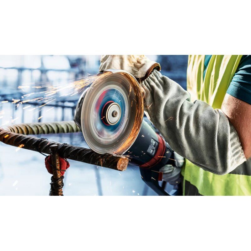 Bosch 2 608 900 536 rotary tool grinding/sanding supply Cast iron, Metal, Plastic, Stainless steel, Steel Cut-off disc