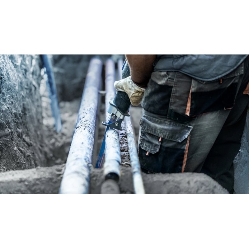 BOSCH Säbelsägeblatt S1255CHC 10St | 2608900372 EXPERT RANGE