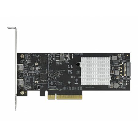 DeLOCK 89009 interface cards/adapter Internal USB 3.2 Gen 2 (3.1 Gen 2)
