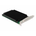 DeLOCK PCIe x164xint. NVMw M.2 Key M | m. Kühlkörper-Bifurcation