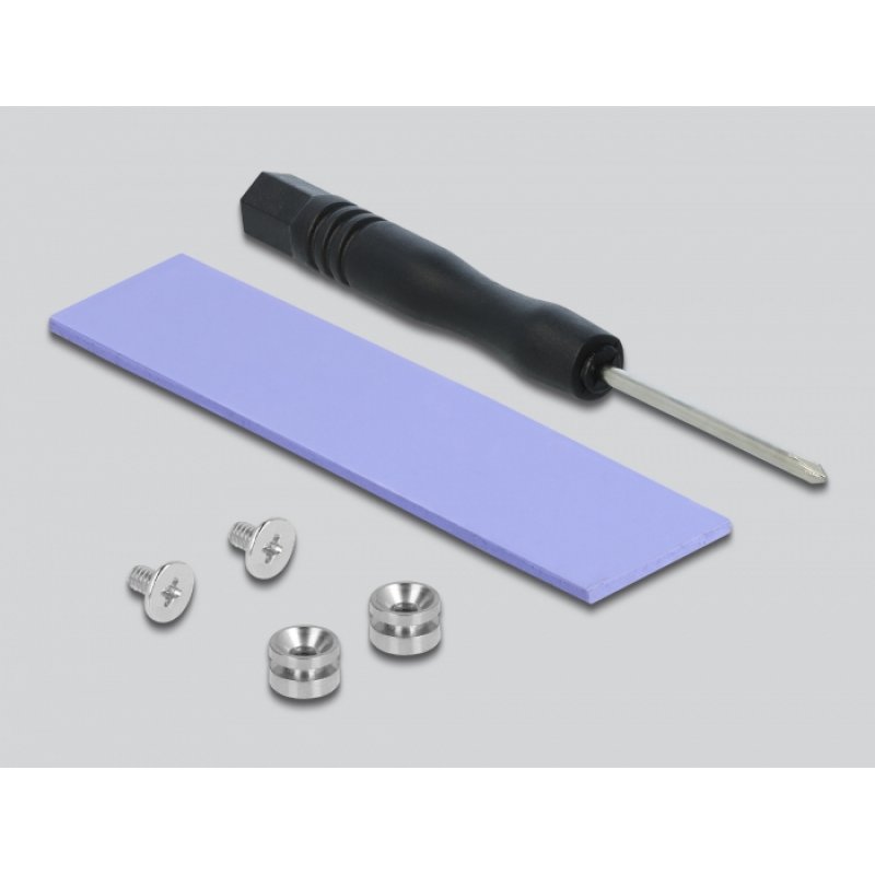 DeLOCK 90047 interface cards/adapter Internal M.2