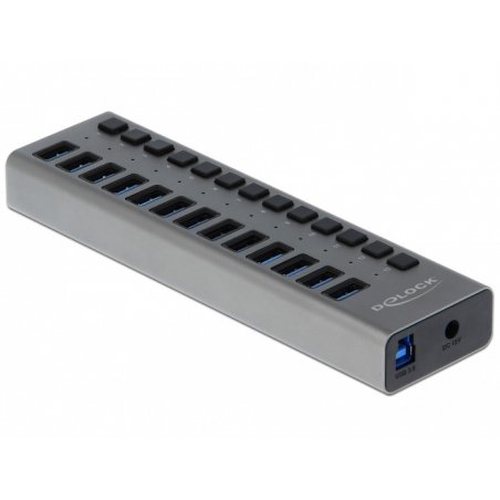Delock Ext. SS USB Hub 13Ports +Schalter | 63738