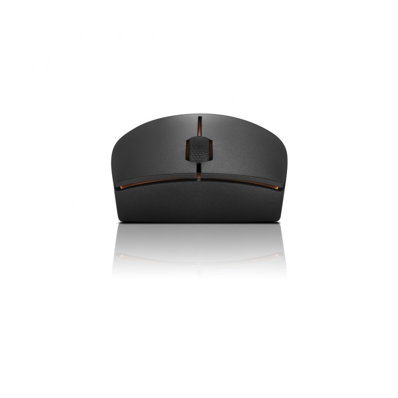 Lenovo Wireless mouse 300             bk | GX30K79401