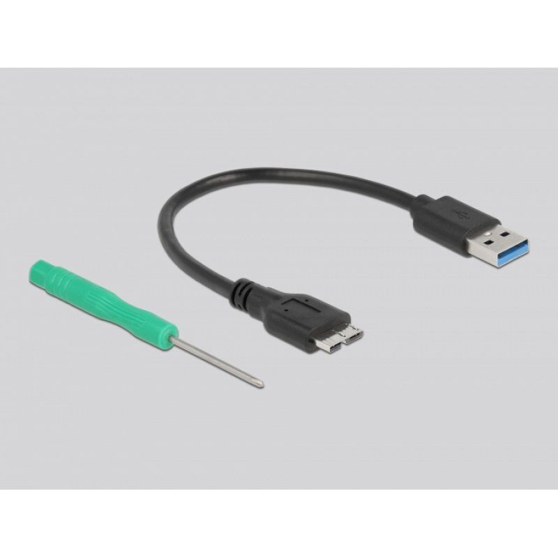 DeLOCK 42006 Boîtier de disques de stockage Enceinte ssd Noir