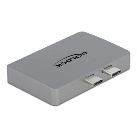 DeLOCK 64001 câble vidéo et adaptateur 2 x USB Type-C 2 x DisplayPort Gris
