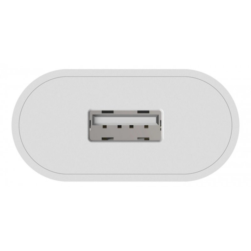 Ansmann HC105 Universel Blanc Secteur Intérieure