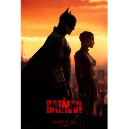 SF Studios The Batman DVD Anglais