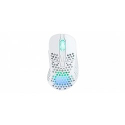 Xtrfy M4 RGB souris Droitier RF Wireless + USB Type-C Optique 19000 DPI