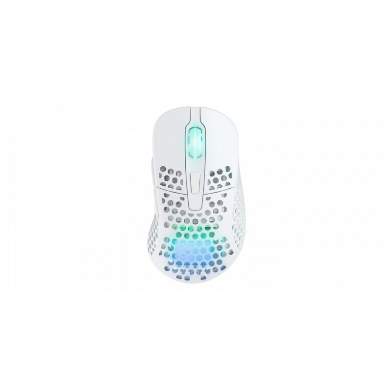 Xtrfy M4 RGB souris Droitier RF Wireless + USB Type-C Optique 19000 DPI