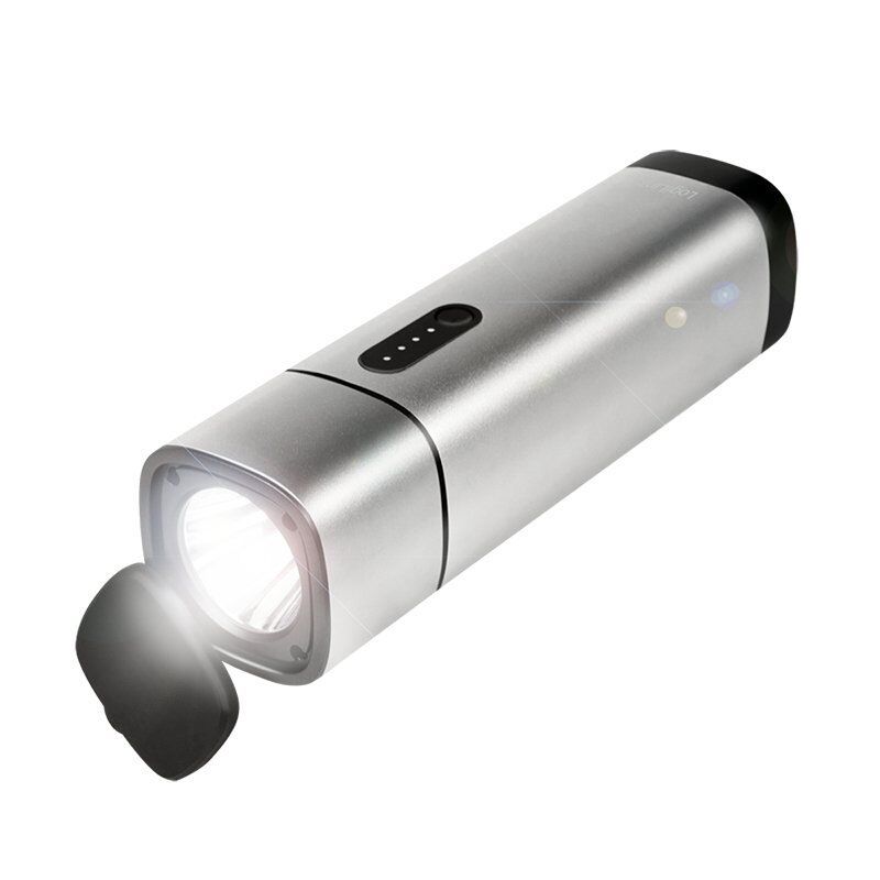 LogiLink PA0266 power bank Lithium Polymer (LiPo) 10000 mAh Metallic