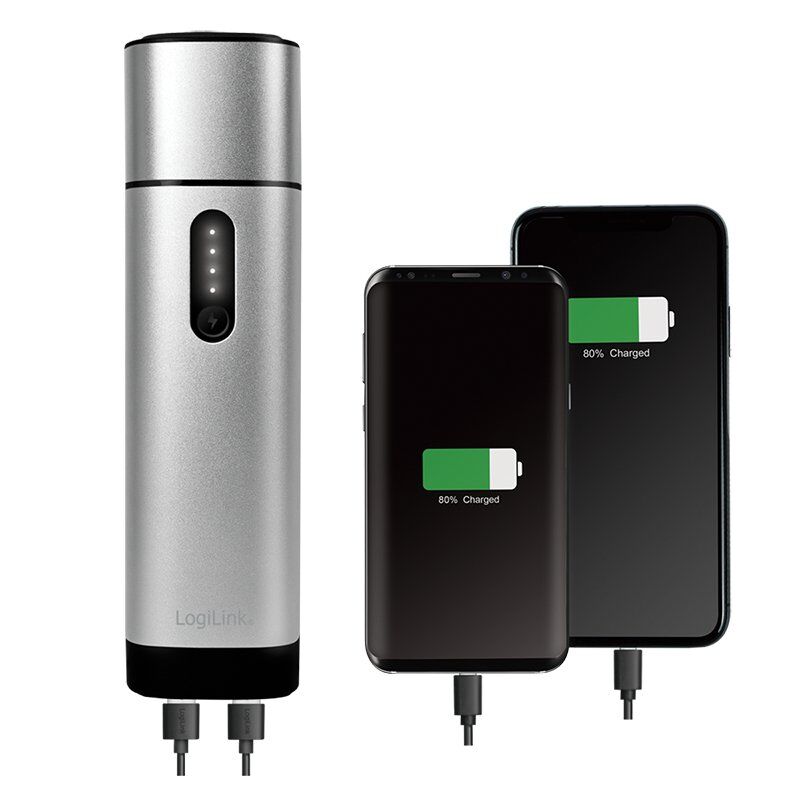 LogiLink PA0266 banque d'alimentation électrique Lithium Polymère (LiPo) 10000 mAh Métallique