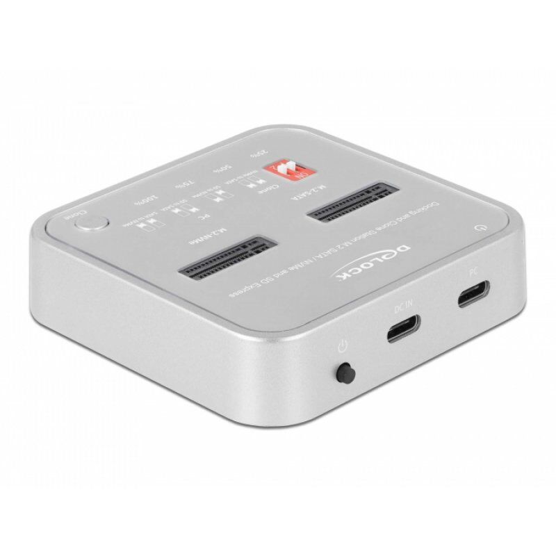 DeLOCK 64138 storage drive docking station Silver