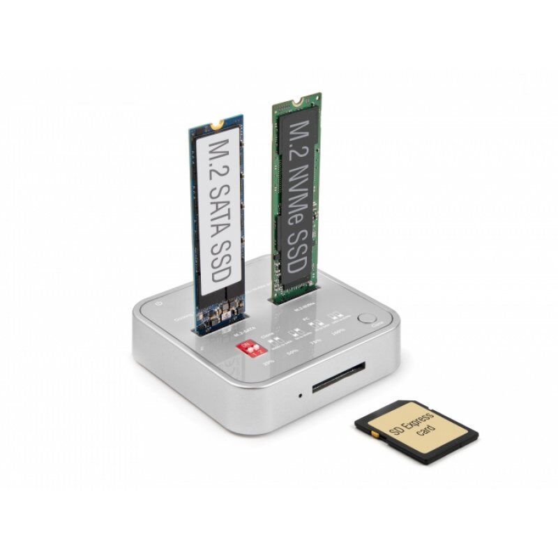 DeLOCK Dockingstation  M.2 NVMe/M.2 SATA  64138