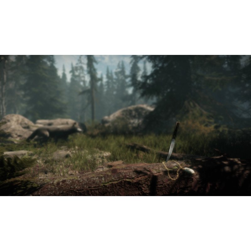 Perp Maid of Sker Standard Anglais PlayStation 4