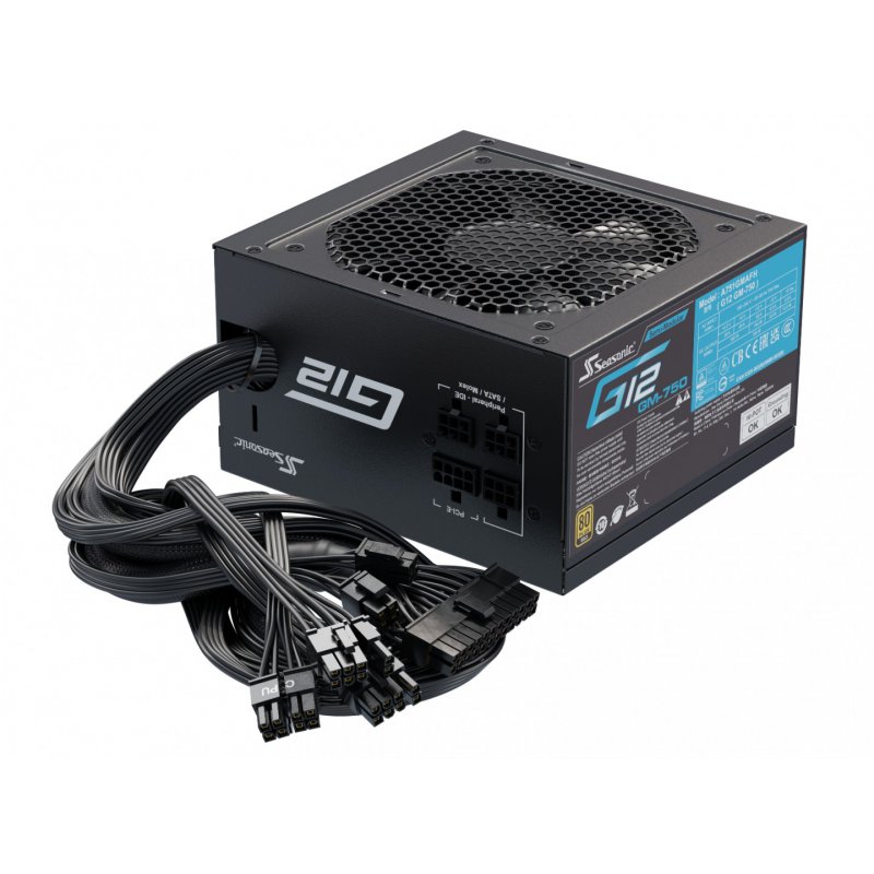 Seasonic G12 GM-750         750W ATX2.31