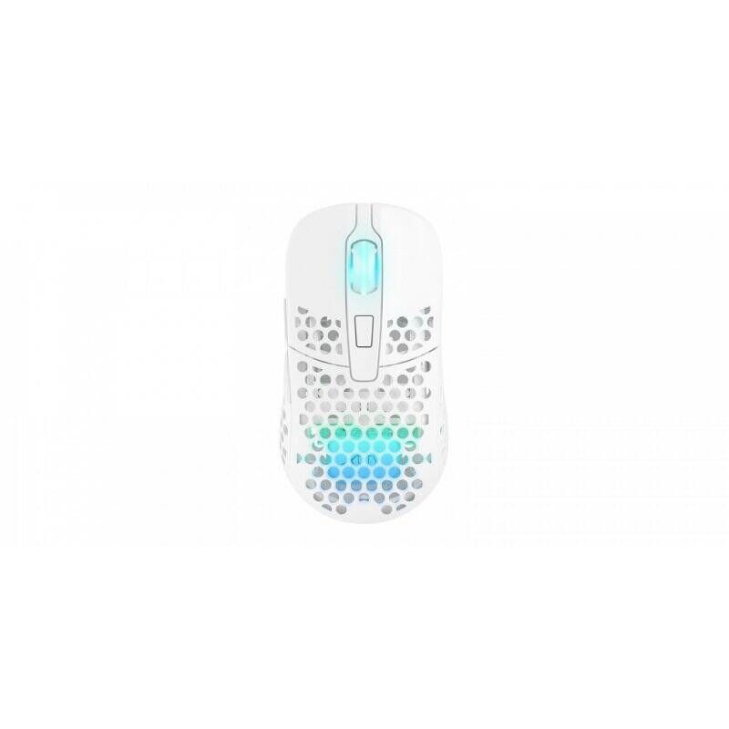 Xtrfy M42 RGB souris Ambidextre RF Wireless + USB Type-C Optique 19000 DPI