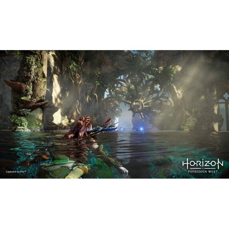 Horizon Forbidden West